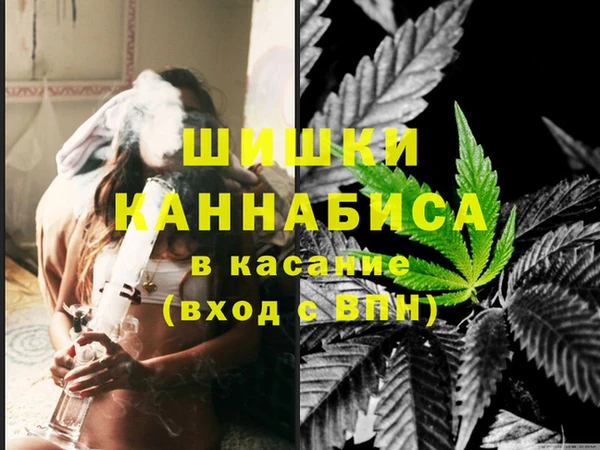 гидра Зеленокумск