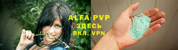 гидра Зеленокумск