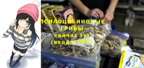 хмурый Зерноград
