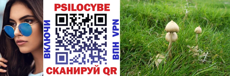 Галлюциногенные грибы Psilocybe  Купить где  Певек 